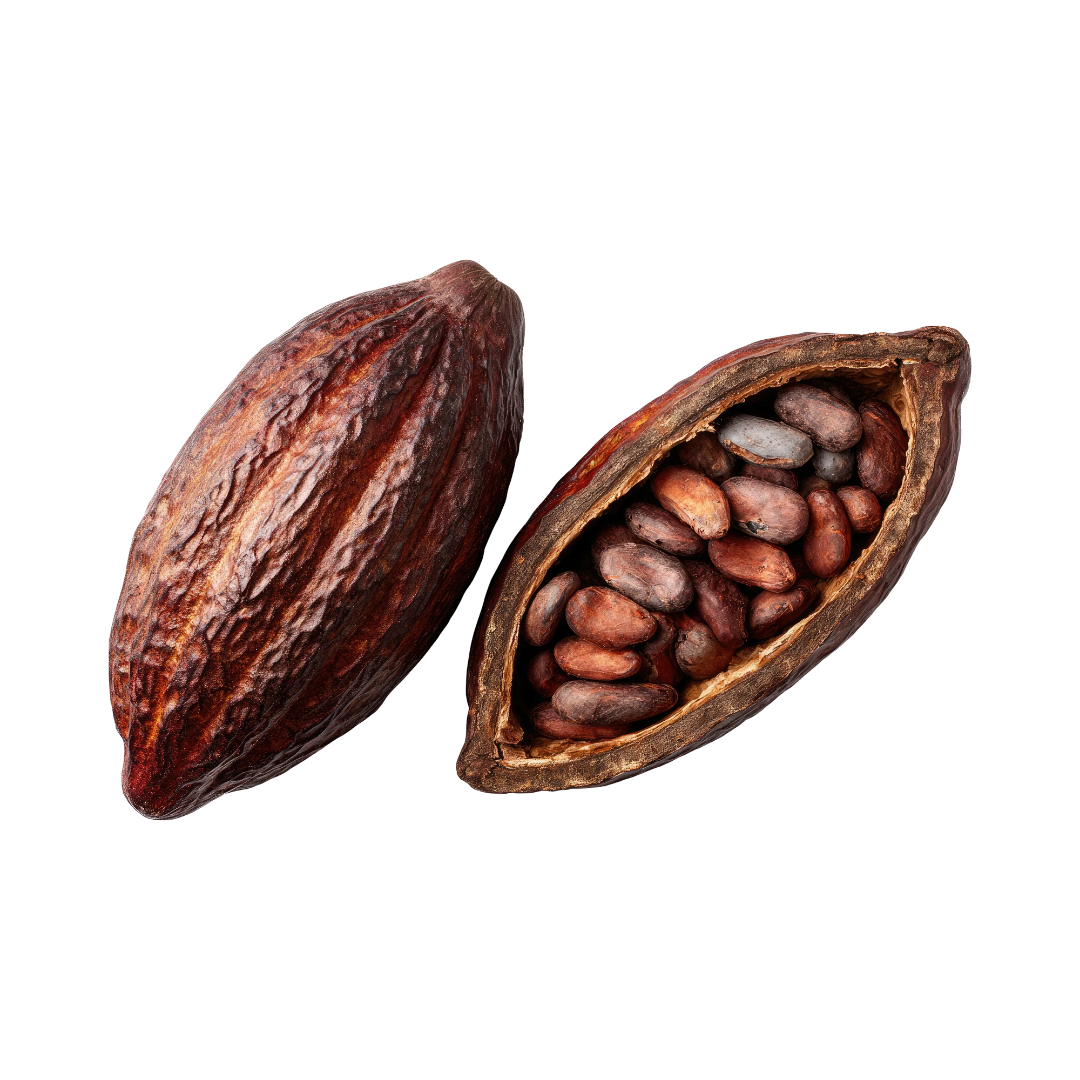 Cacao