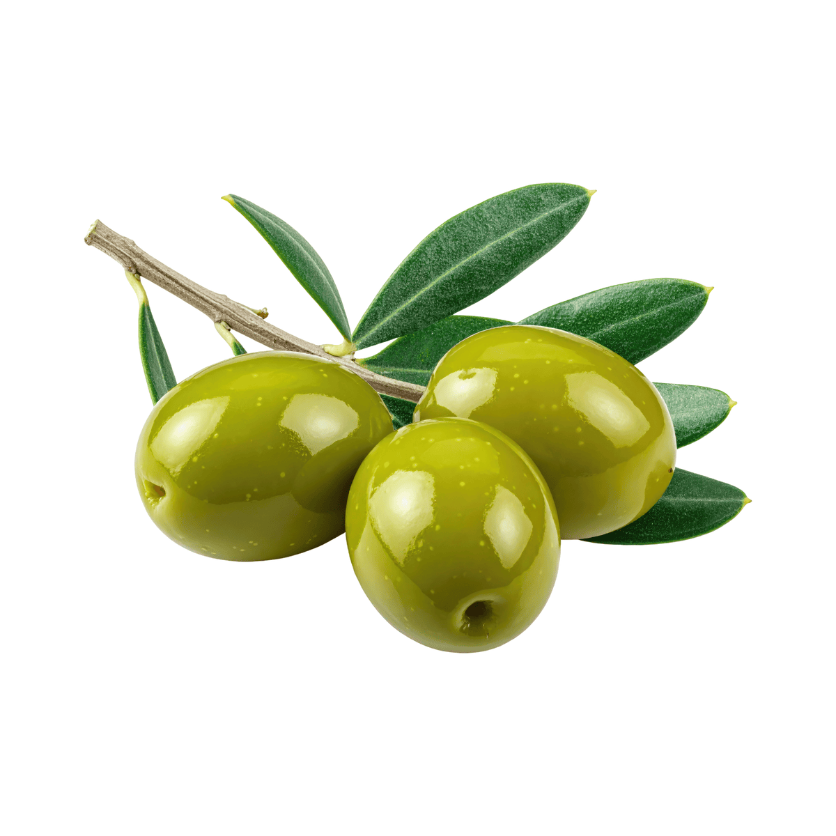 Olive 