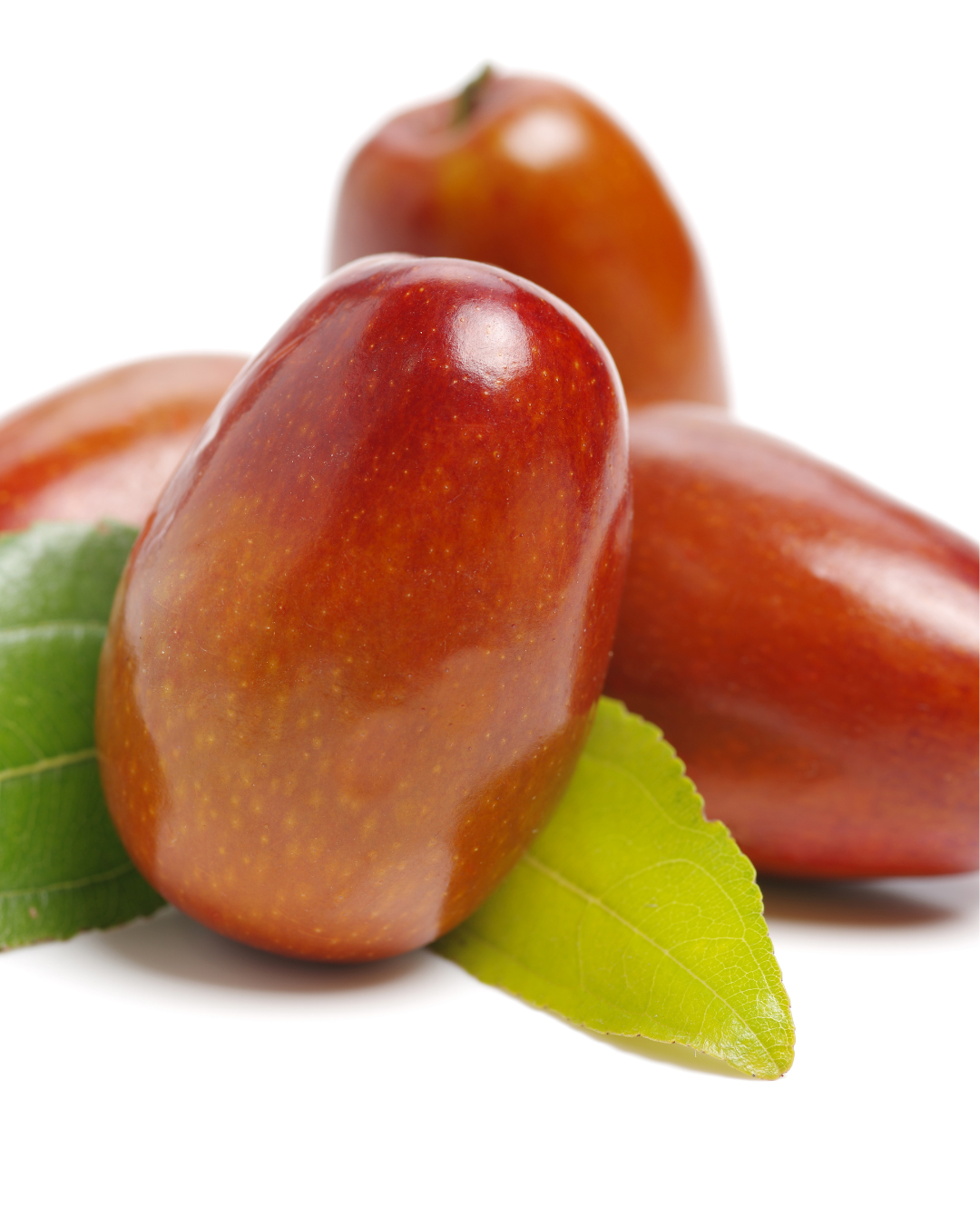 Jojoba 